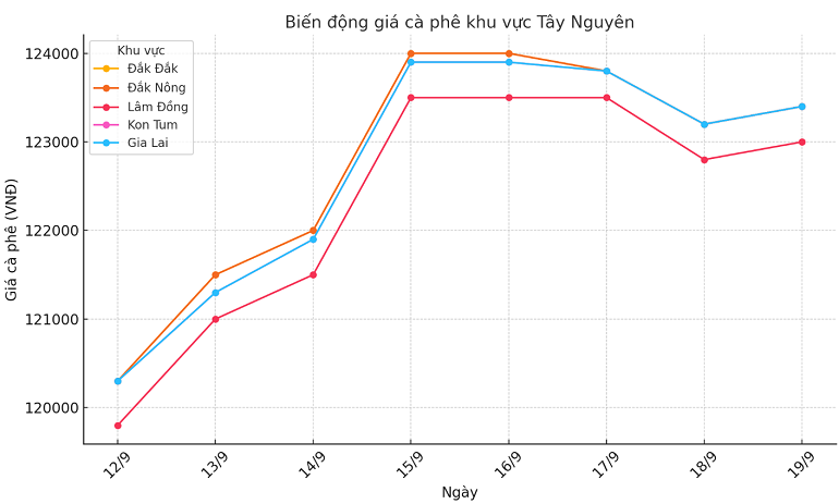 Bieu do gia ca phe ngay 19.9.2024_1726718380.png